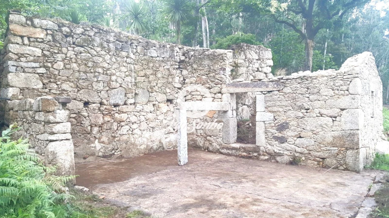 Quinta T2 para Venda em Campo e Tamel (São Pedro Fins) Foto 6