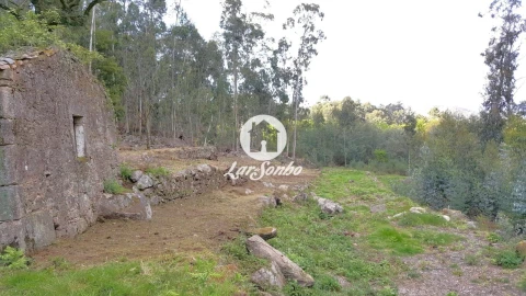 Quinta T2 para Venda em Campo e Tamel (São Pedro Fins)
