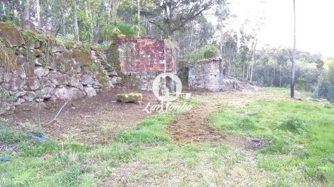 Quinta T2 para Venda em Campo e Tamel (São Pedro Fins)