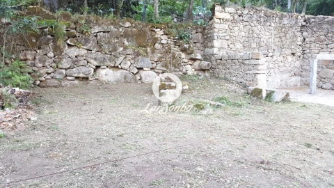 Quinta T2 para Venda em Campo e Tamel (São Pedro Fins)