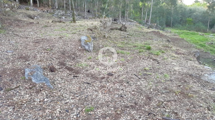 Terreno para Venda em Campo e Tamel (São Pedro Fins) Foto 12