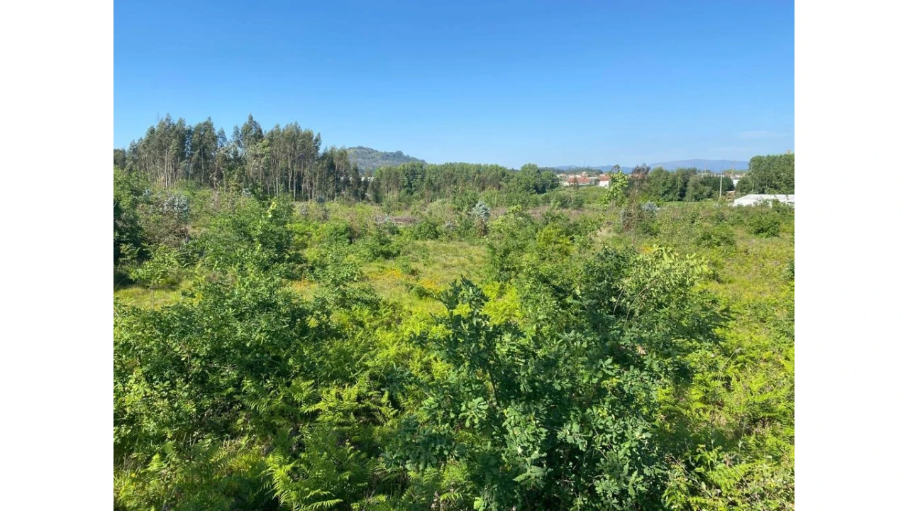 Terreno para Venda em Barco Foto 2