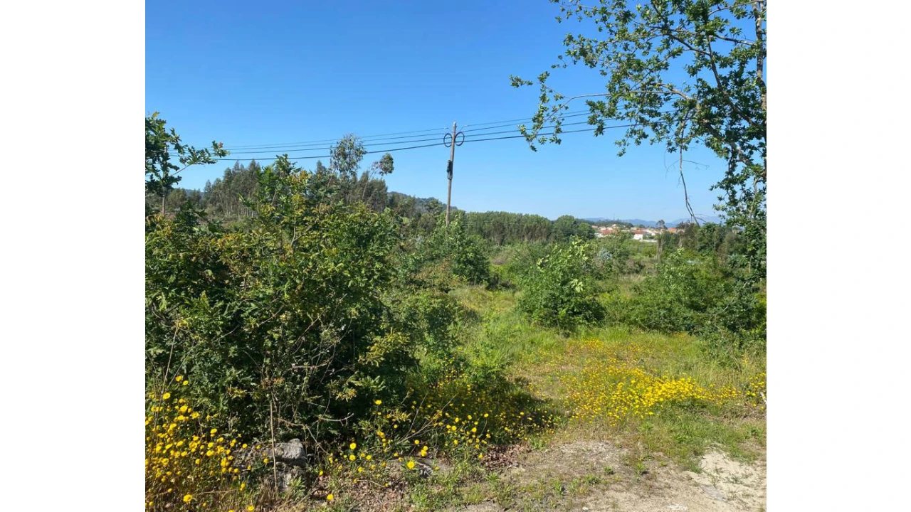 Terreno para Venda em Barco Foto 3