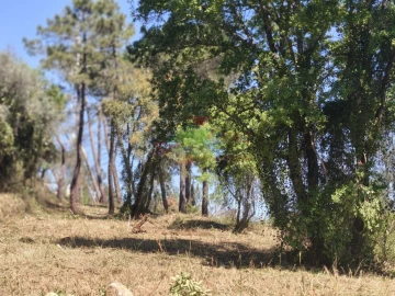 Terreno para Venda em Assafarge e Antanhol