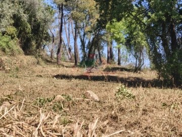 Terreno para Venda em Assafarge e Antanhol