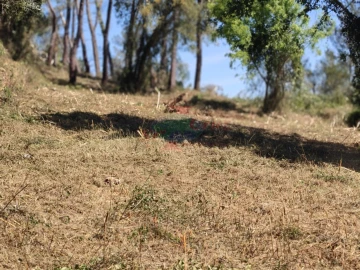 Terreno para Venda em Assafarge e Antanhol