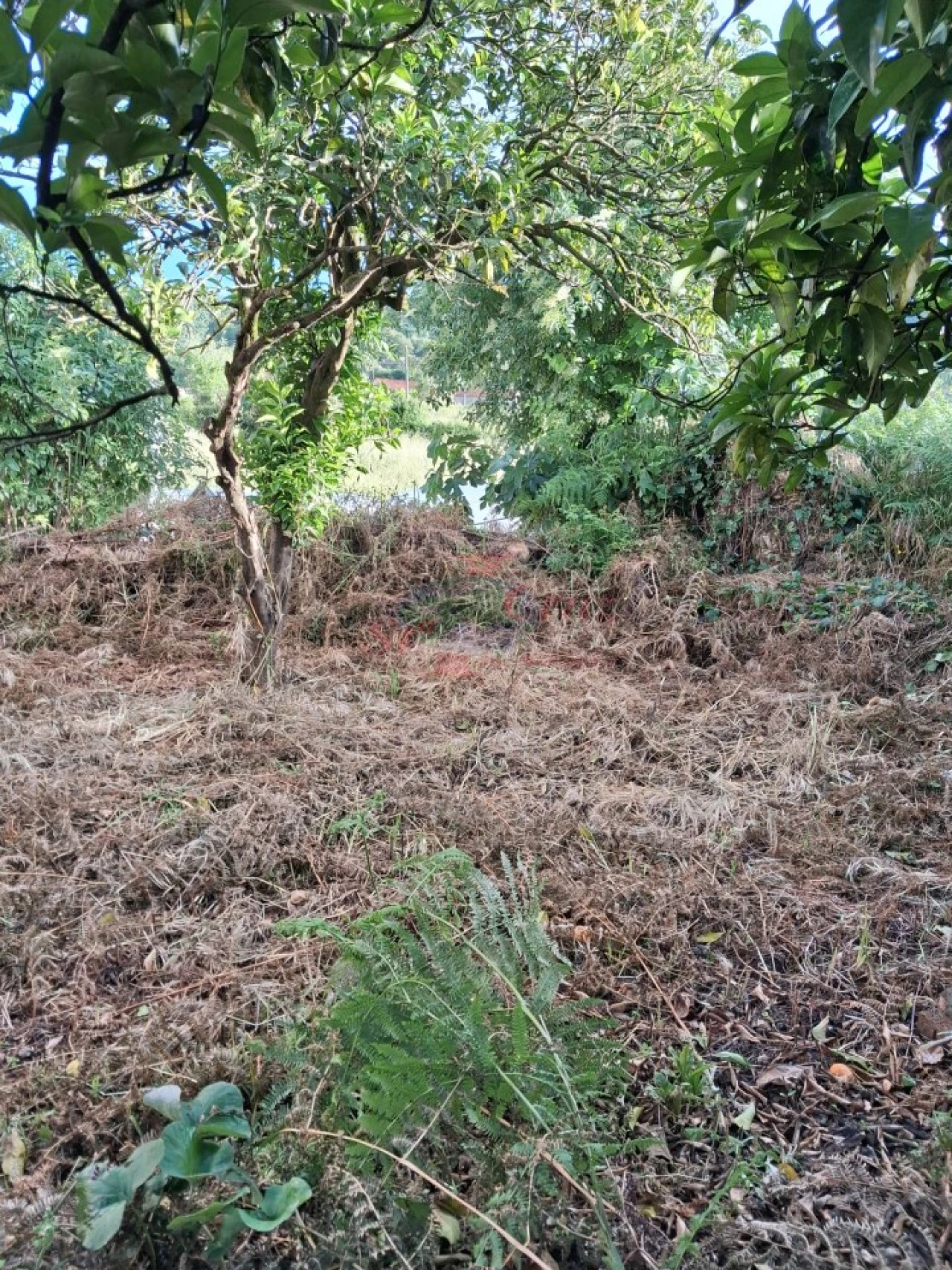 Moradia T3 para Venda em Semide e Rio Vide Foto 5