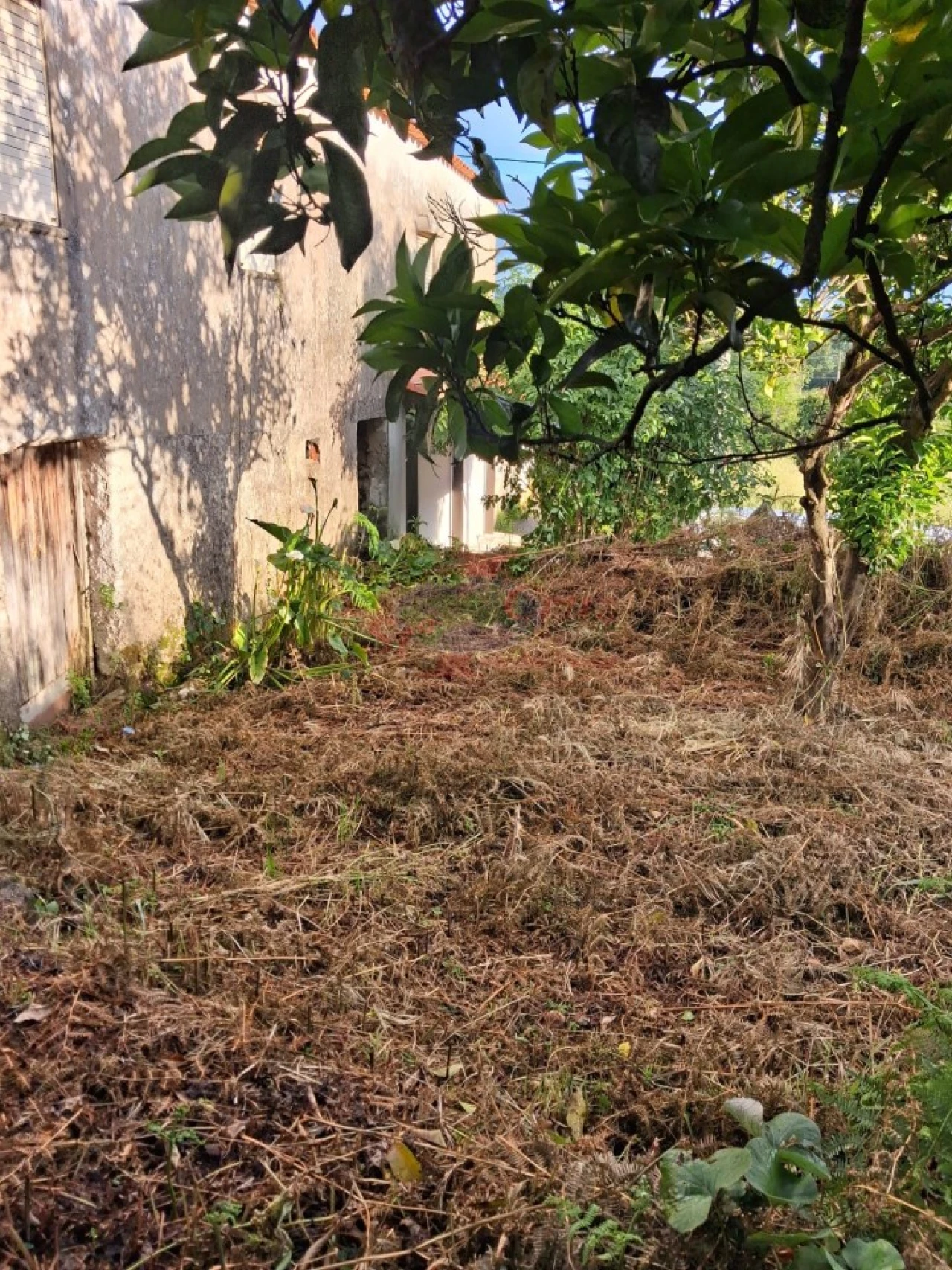 Moradia T3 para Venda em Semide e Rio Vide Foto 15
