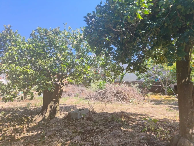 Moradia T4 para Venda em Requeixo, Nossa Senhora de Fátima e Nariz Foto 6