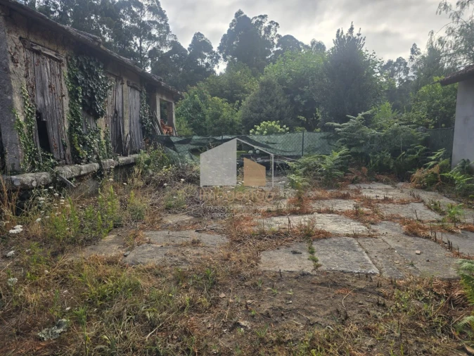 Quinta T3 para Venda em Reboreda e Nogueira Foto 40