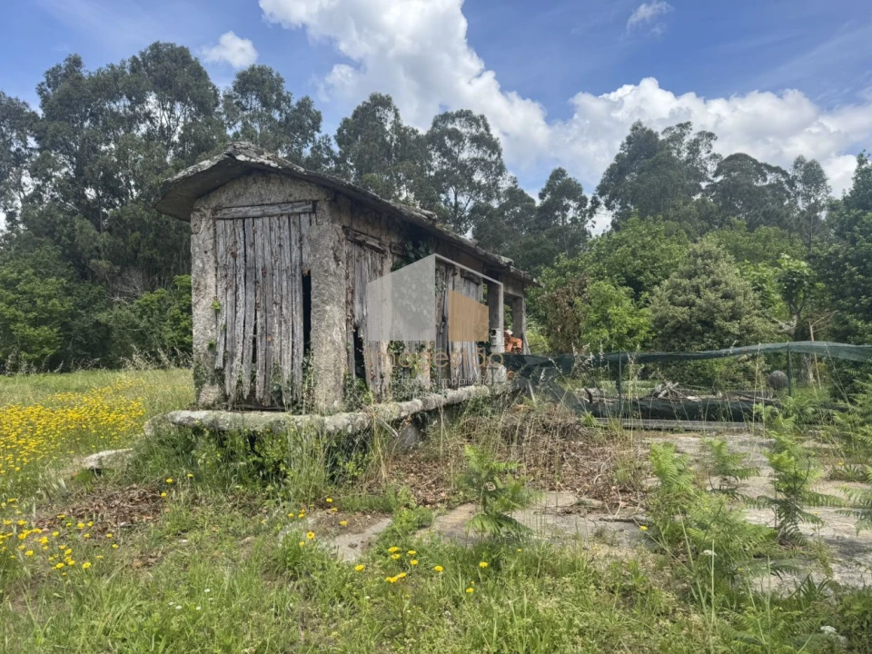 Quinta T3 para Venda em Reboreda e Nogueira Foto 6
