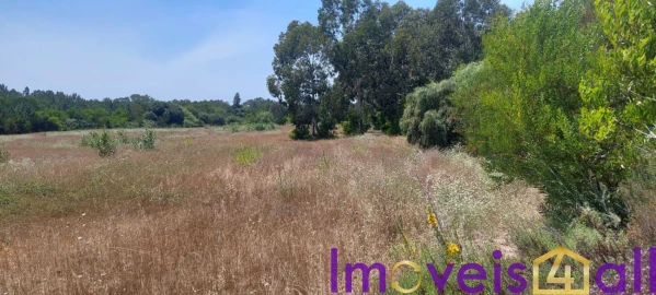 Terreno para Venda em Rogil