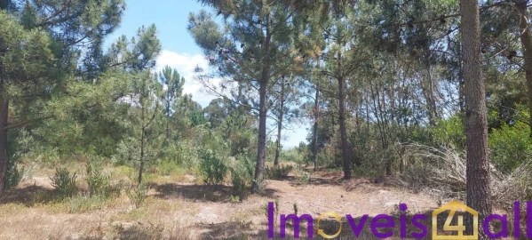 Terreno para Venda em Rogil