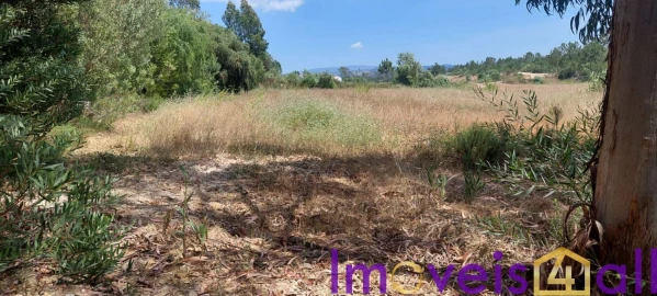 Terreno para Venda em Rogil