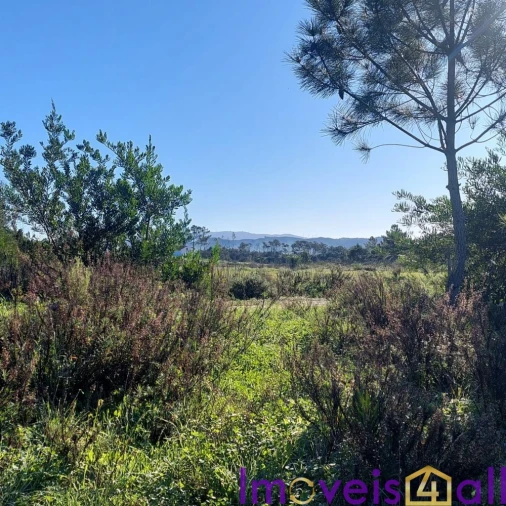 Terreno para Venda em Rogil Foto 10