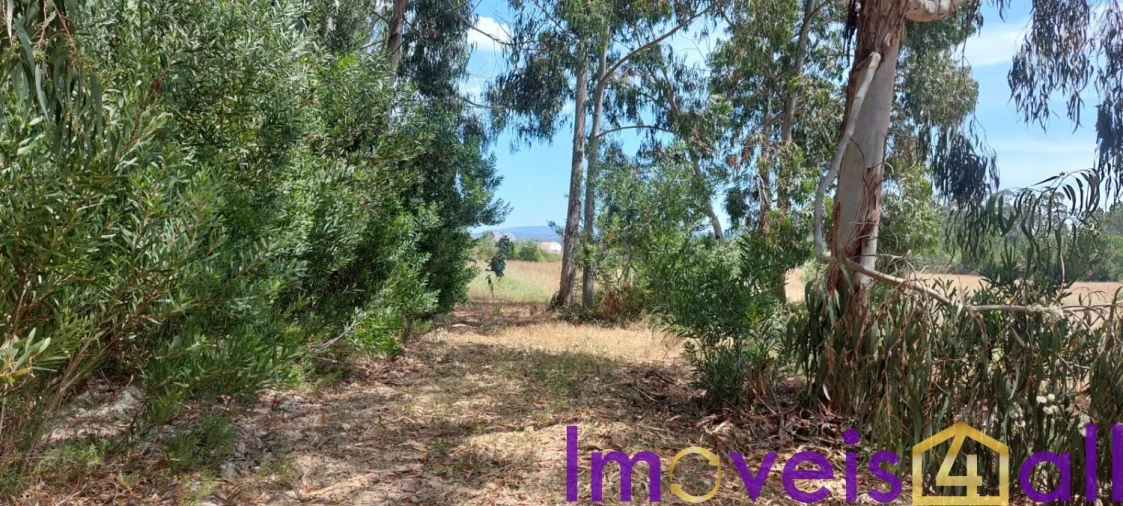 Terreno para Venda em Rogil Foto 8