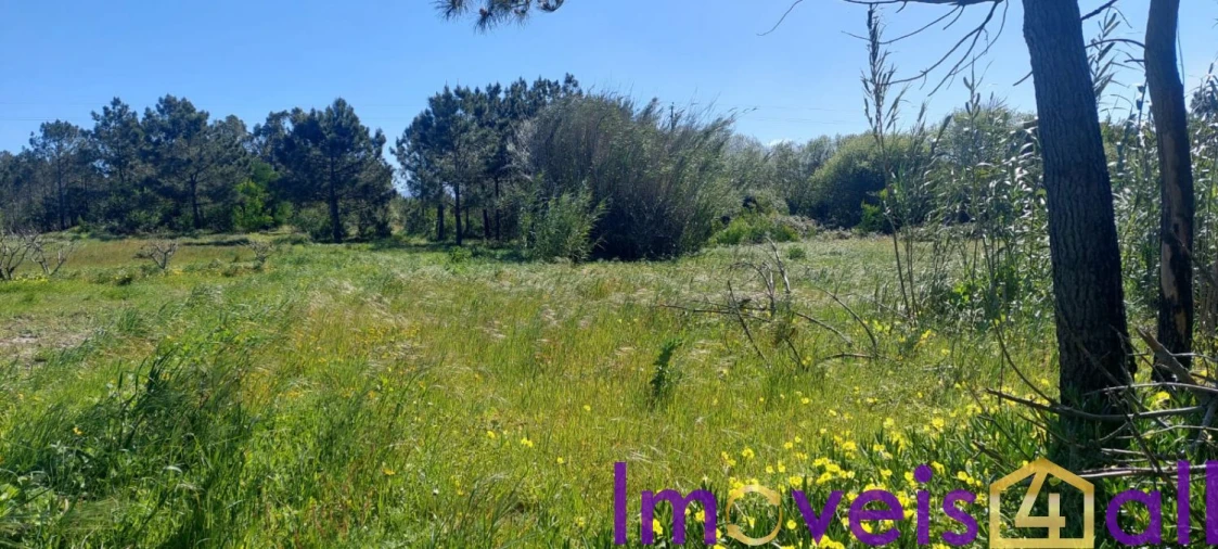 Terreno para Venda em Rogil Foto 11