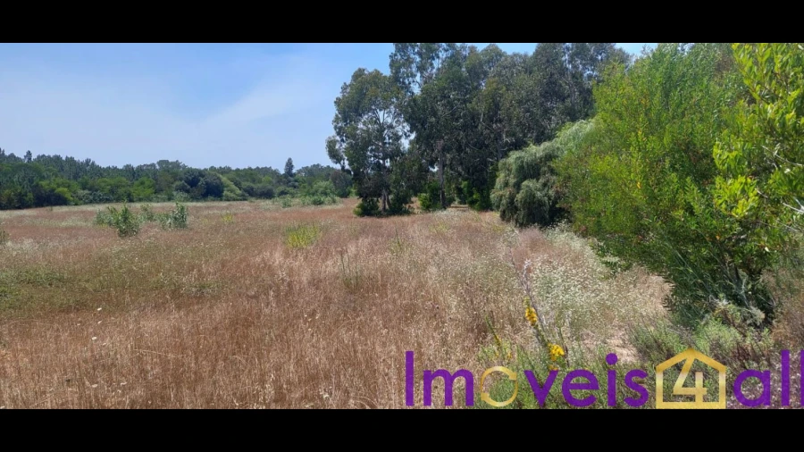 Terreno para Venda em Rogil