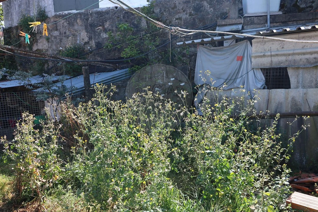 Moradia T4 para Venda em Rebordões Foto 3