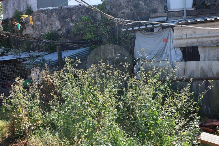 Moradia T4 para Venda em Rebordões Foto 3