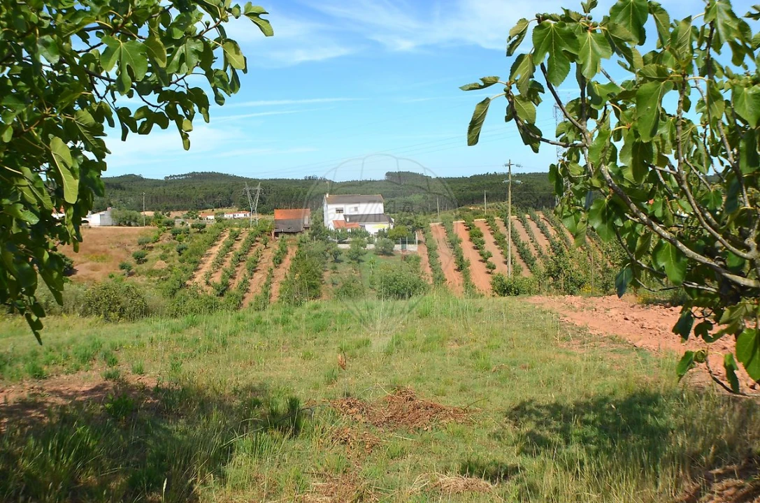 Moradia T4 para Venda em Alguber Foto 43