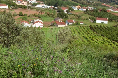 Moradia T3 para Venda em Landal