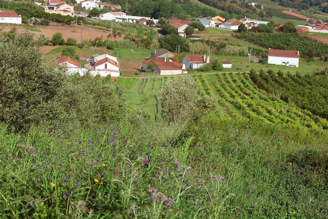 Moradia T3 para Venda em Landal Foto 7