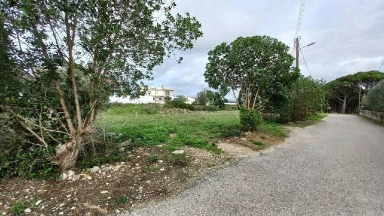 Terreno Agricola ou Rústico para Venda em São João das Lampas e Terrugem Foto 3