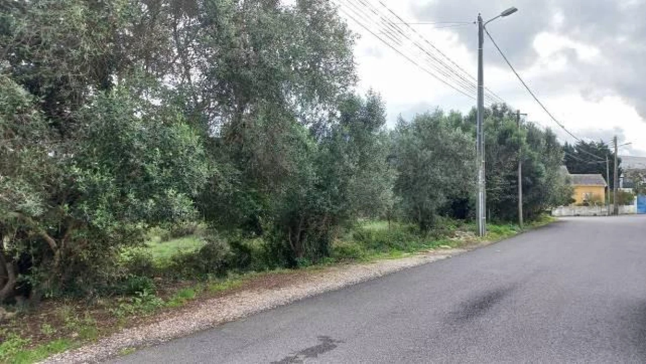 Terreno Agricola ou Rústico para Venda em São João das Lampas e Terrugem Foto 5