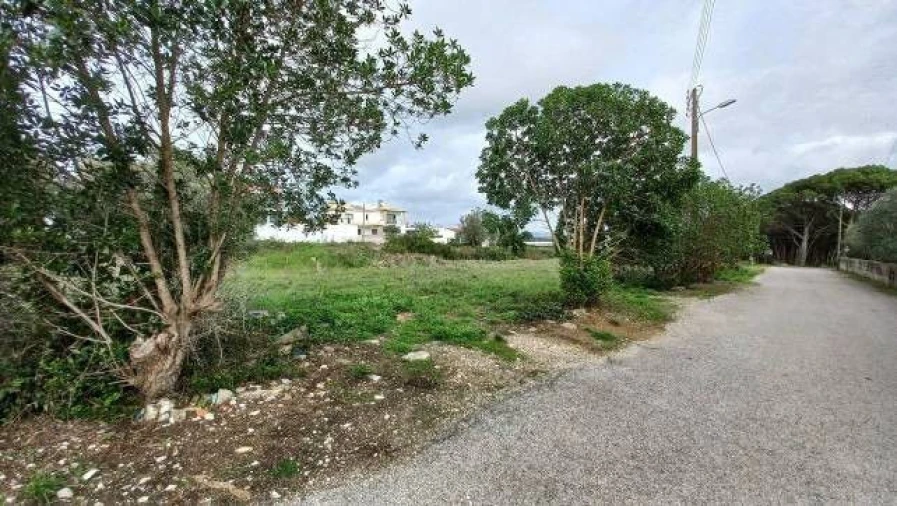 Terreno Agricola ou Rústico para Venda em São João das Lampas e Terrugem Foto 3
