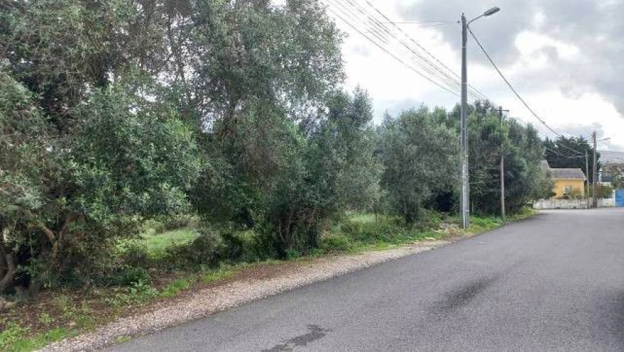 Terreno Agricola ou Rústico para Venda em São João das Lampas e Terrugem Foto 5