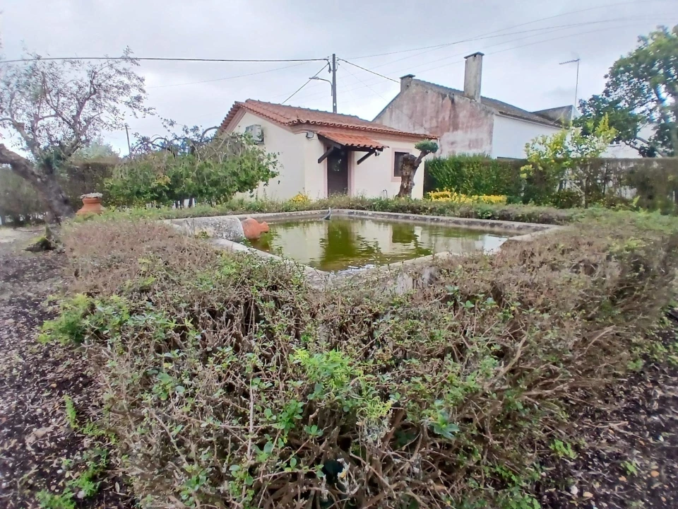 Moradia T4 para Venda em Santa Margarida da Coutada Foto 16