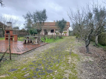 Moradia T4 para Venda em Santa Margarida da Coutada