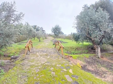 Moradia T4 para Venda em Santa Margarida da Coutada