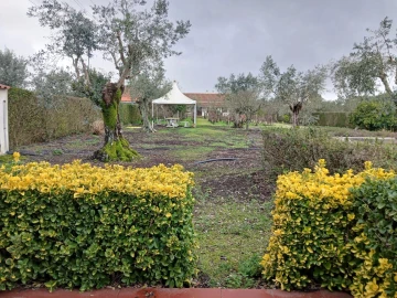 Moradia T4 para Venda em Santa Margarida da Coutada