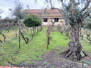 Moradia T4 para Venda em Santa Margarida da Coutada