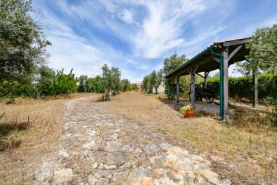 Moradia T5 para Venda em Santa Margarida da Coutada