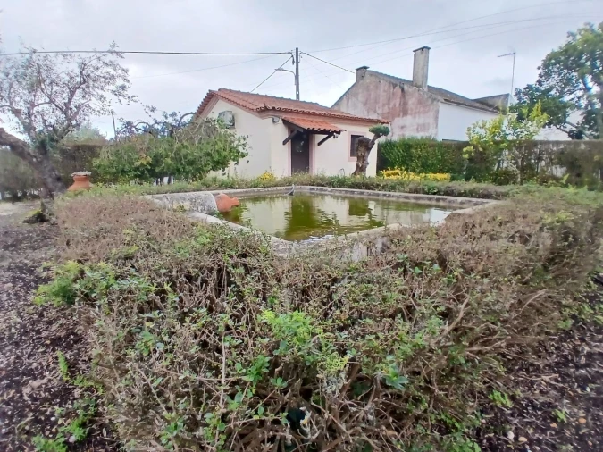 Moradia T4 para Venda em Santa Margarida da Coutada Foto 16