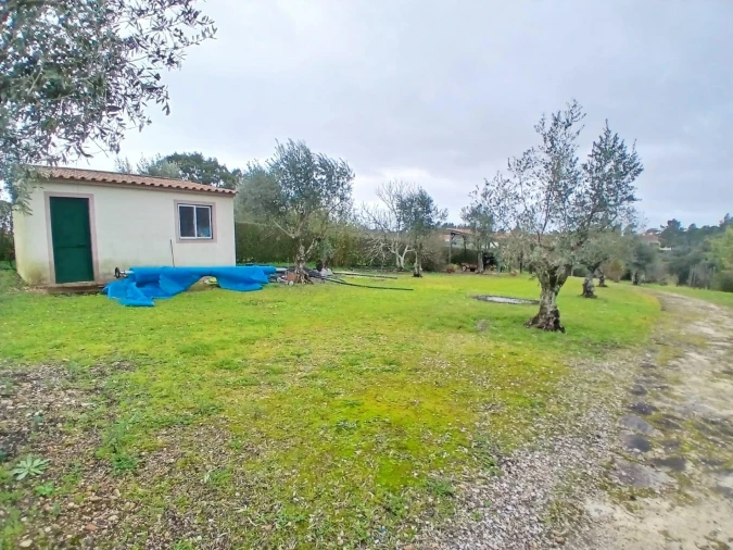 Moradia T4 para Venda em Santa Margarida da Coutada Foto 7