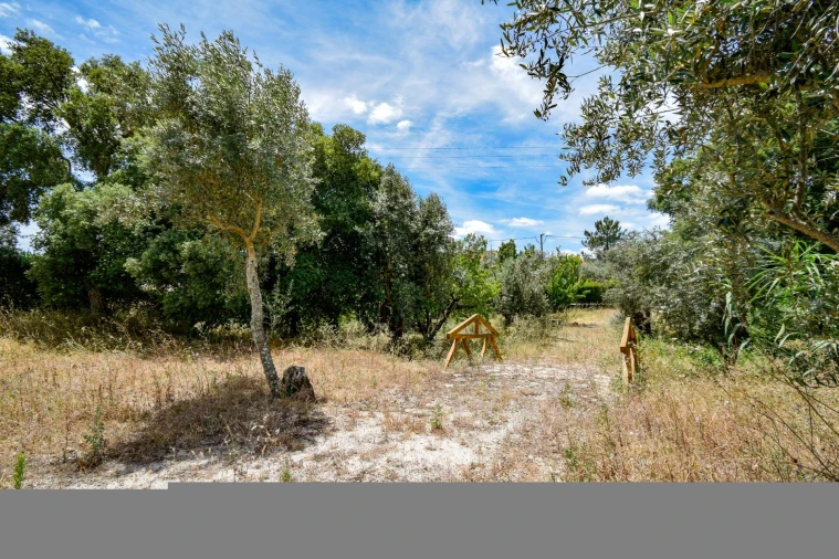 Moradia T5 para Venda em Santa Margarida da Coutada Foto 46