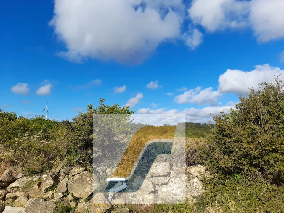 Quinta para Venda em São Bartolomeu dos Galegos e Moledo Foto 5
