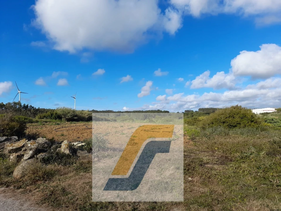 Quinta para Venda em São Bartolomeu dos Galegos e Moledo Foto 23