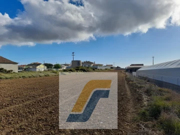 Quinta para Venda em São Bartolomeu dos Galegos e Moledo