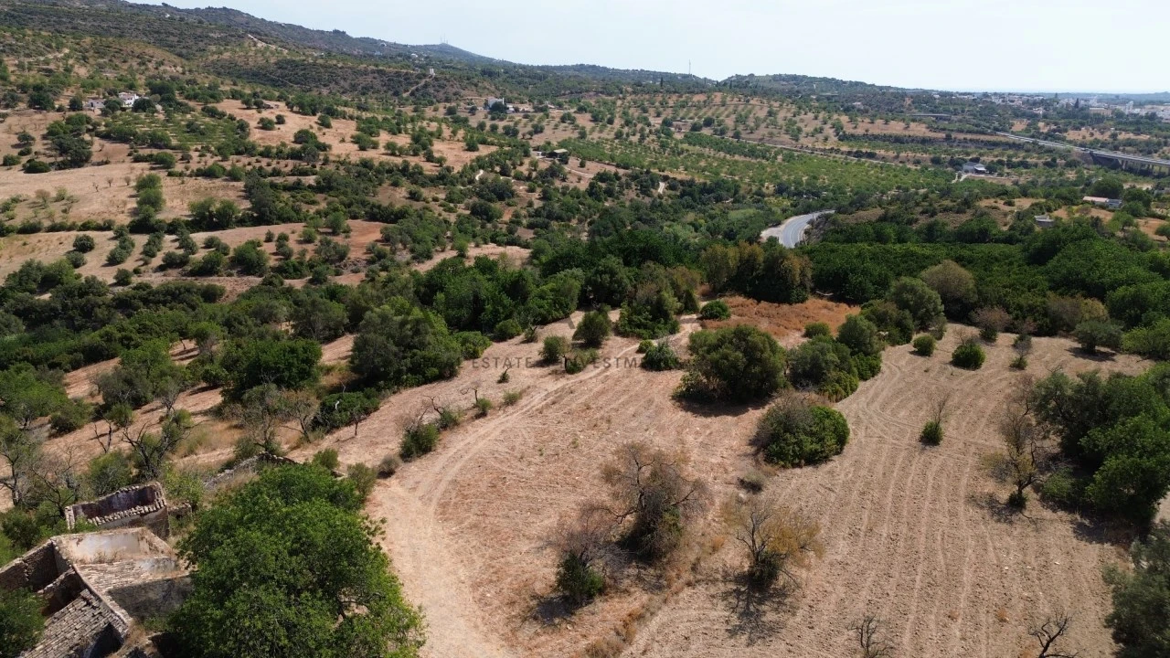 Terreno para Venda em Conceição e Estoi Foto 7