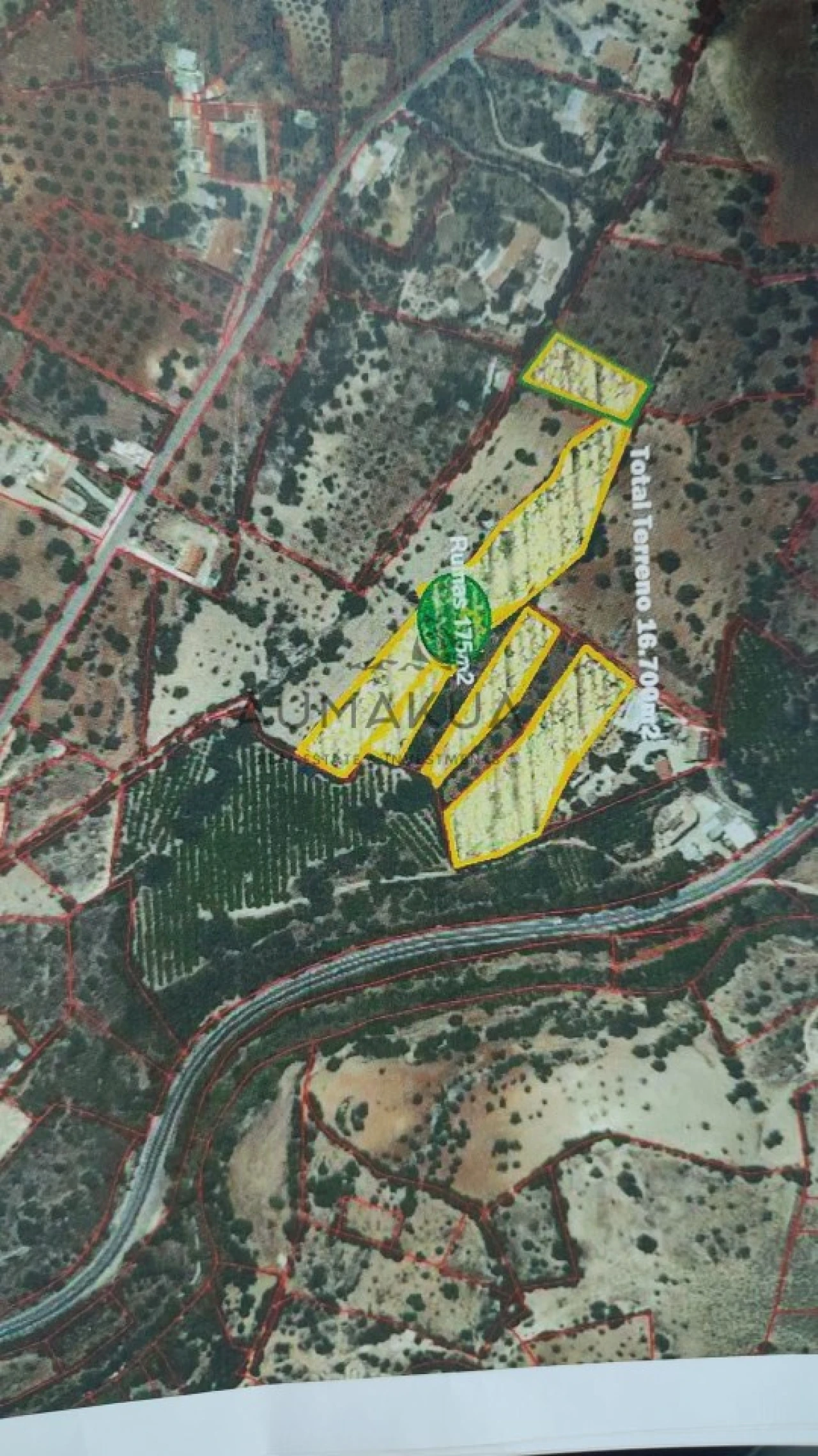 Terreno para Venda em Conceição e Estoi Foto 8