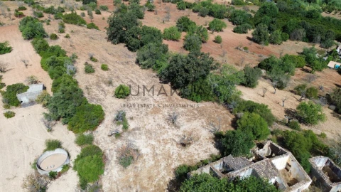 Terreno para Venda em Conceição e Estoi