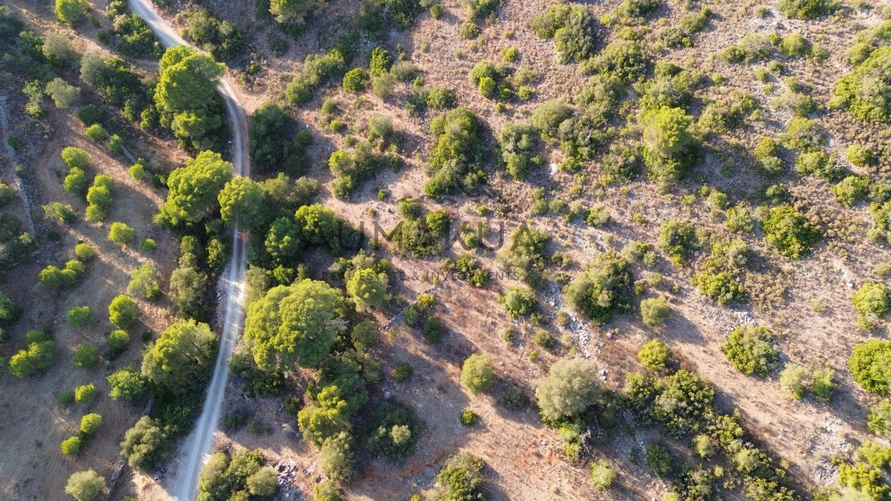 Terreno Agricola ou Rústico para Venda em Quarteira Foto 1