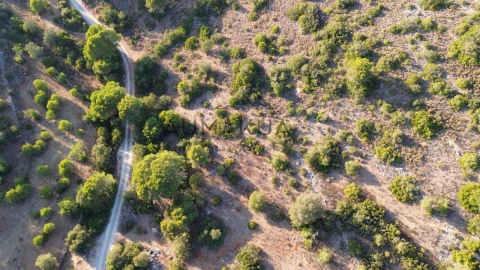 Terreno Agricola ou Rústico para Venda em Quarteira