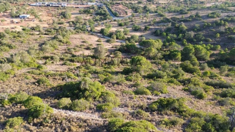 Terreno Agricola ou Rústico para Venda em Quarteira