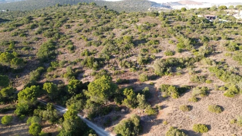 Terreno Agricola ou Rústico para Venda em Quarteira